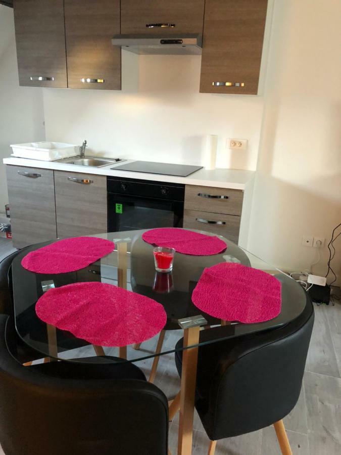 Duplex Hyper Centre Colmar Apartment Luaran gambar