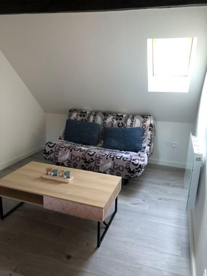 Duplex Hyper Centre Colmar Apartment Luaran gambar