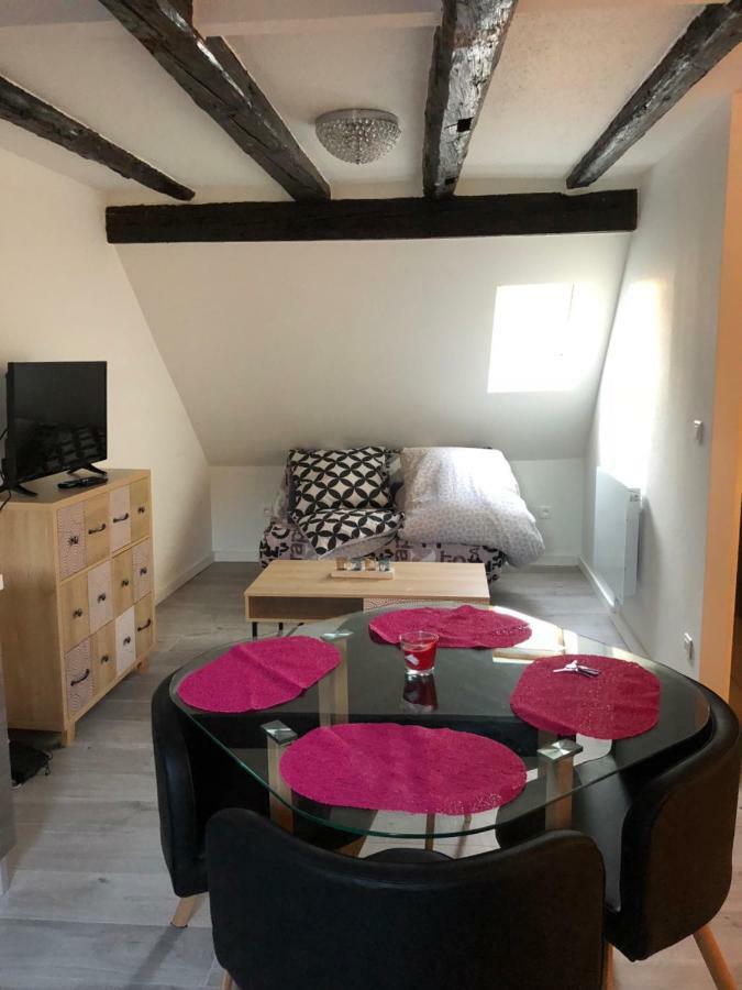 Duplex Hyper Centre Colmar Apartment Luaran gambar
